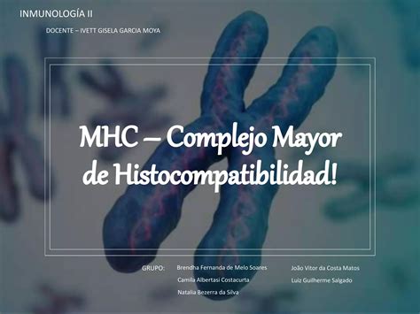 Mhc Complejo Mayor De Histocompatibilidad Ppt