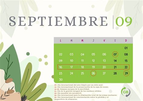 Elecciones 2024 Este Es El Calendario Que Debes Tomar En Cuenta Para💵