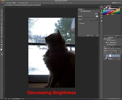 Tutorial Time: Adjusting Brightness and Contrast Using Photoshop | Diagram