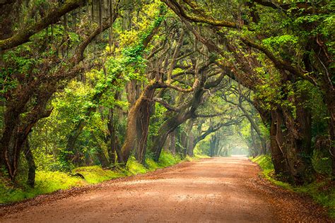 South Carolina Landscape Photography | Edisto Island Plantation ...