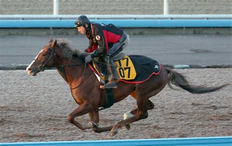 【中山金杯】重賞初挑戦のマイネルクリソーラが軽快走 中野師「やれる力はある」 サンスポzbat