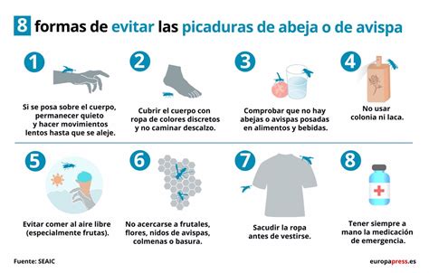 ¿qué Hacer Tras Una Picadura De Abeja O Avispa