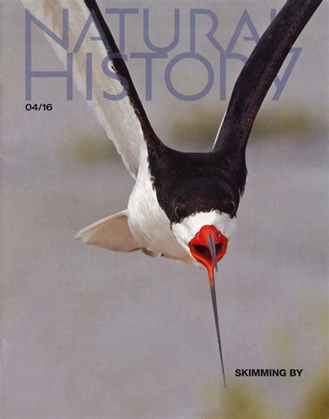 natural history college subscription services llc