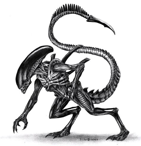 Xenomorph By Glaiceana On Deviantart