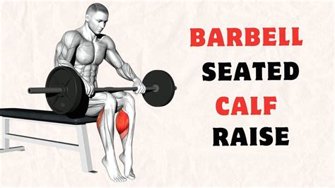 How To Barbell Seated Calf Raise Step By Step