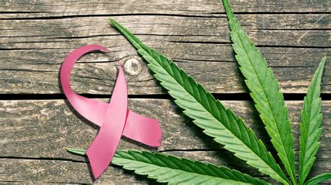 How medical marijuana can help breast cancer patients