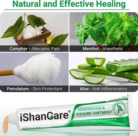 Buy Hemorrhoid Treatment Cream IShanCare Treatment For Pain Burning