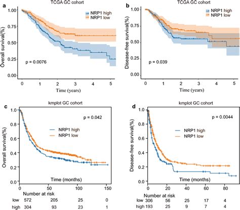 High Nrp1 Expression Is Associated With Poor Prognosis In Tcga Gc