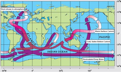 Thermohaline Ocean Circulation Windows To The Universe