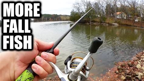 Bank Fishing With Lures My Favorite Fall Lure For Bass And Skipjack