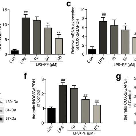 PF Inhibits LPS Induced Inflammation Reaction In Caco 2 Cells Ad The