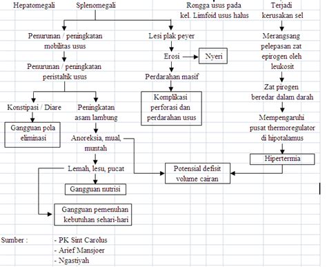 1500 Asuhan Keperawatan Pathway Woc Demam Typoid