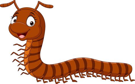 Cartoon Funny Millipede On White Background 5158027 Vector Art At Vecteezy