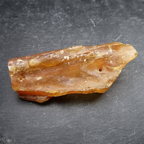 Copal With Insects Buy Fossil Copal With Insect Inclusions Uk Fossils
