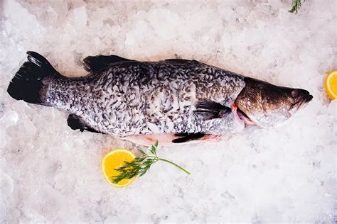 Barramundi Fillets Portions Whole Bones Pacific West