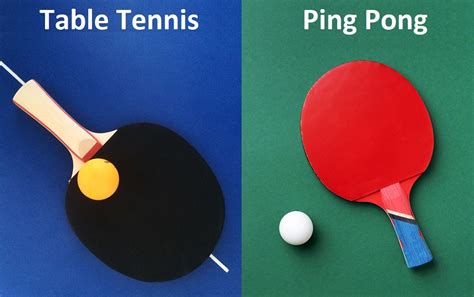 Difference Between Ping Pong And Table Tennis One World Plate