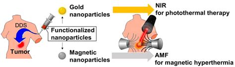 Hyperthermia Using Nanoparticles Dds Drug Delivery System Nir