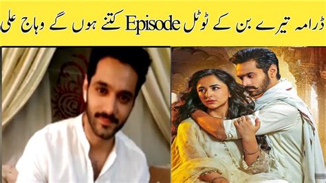 Tere Bin Last Episode 49 Full Taesre Rivew Tere Bin Drama 2023 Tere