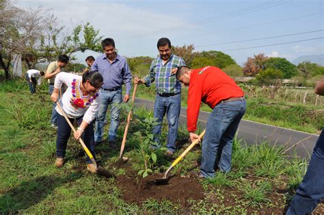 Se Plantar N Mil Rboles En Jornada De Reforestaci N Imades