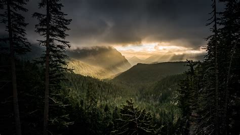 Mountains Rays Forest Fog 4k HD Wallpaper