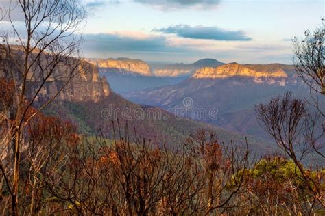 Blue Mountains Escarpment And Valley After A Bush Fire Stock Image