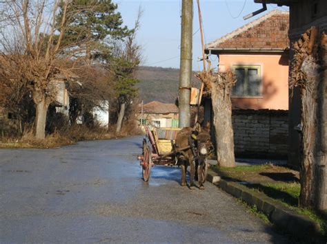 Living in Bulgaria Our Second Year: Our Christmas in Bulgaria Chestita ...