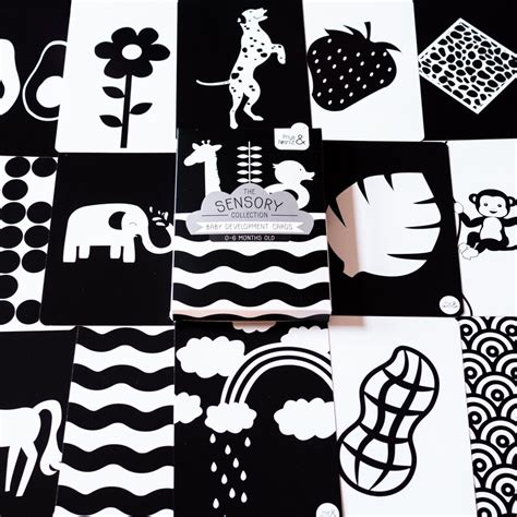 X Newborn Baby Sensory Flashcards Black White Etsy