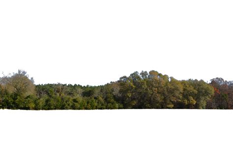 Treelinerollinghillstockphoto0445pngbyannamae22 D9ts25t