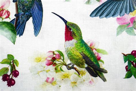 Hummingbird Fabric Quilting Fabric Cotton Fabric Etsy