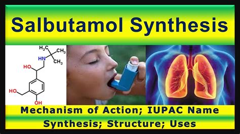 Mechanism Of Salbutamol