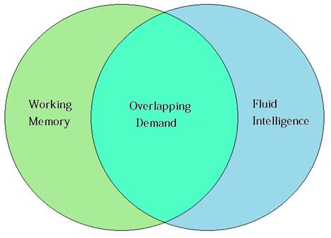 Increase Intelligence: Working Memory and Fluid Intelligence