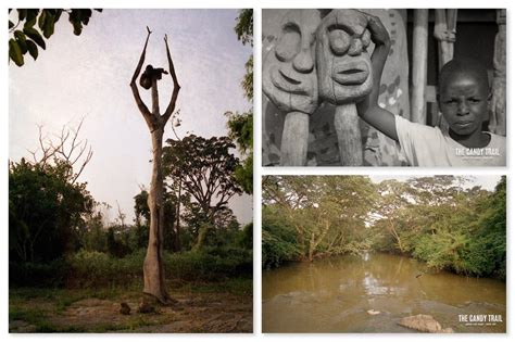 Osun Osogbo Sacred Grove Nigeria