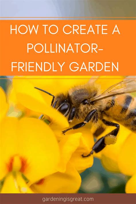 How To Create A Pollinator Friendly Garden Gardening Is Great