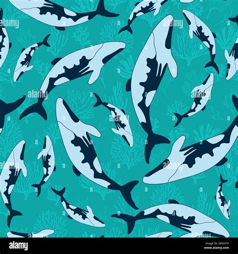 Dolphins Seamless Pattern Marine Mammals Collection Cartoon Flat