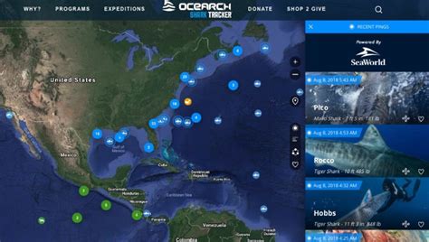 2018 Ocearch