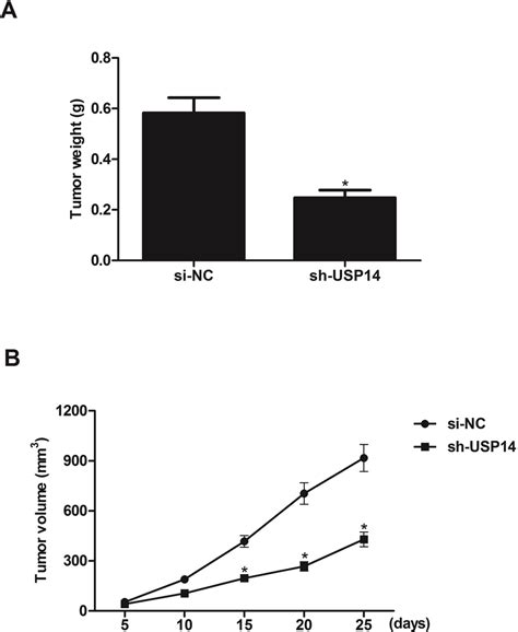 Downregulation Of Usp Attenuates Tumorigenicity In Vivo