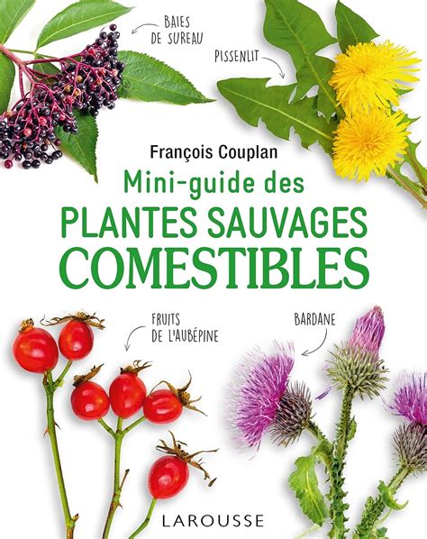 Mini Guide Des Plantes Sauvages Comestibles Couplan Fran Ois