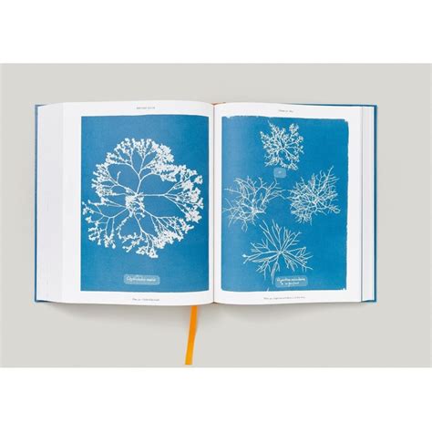 Anna Atkins Cyanotypes Teşvikiye Patika Kitabevi