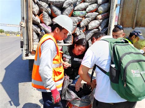 Decomisan Toneladas De Carb N De Algarrobo Con Gu A De Transporte