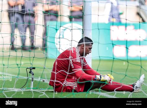 Sp Sao Paulo Jogo Amistoso Palmeiras X Ponte Preta