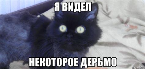 я видел некоторое дерьмо, Мем гррш - Рисовач .Ру