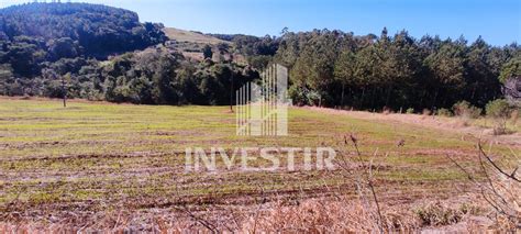 Rea Rural Para Plantio Interior De Ampere Pr Ampere Pr Investir