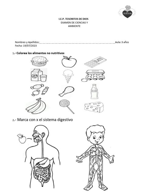 Examen De Ciencia Y Ambiente Pdf