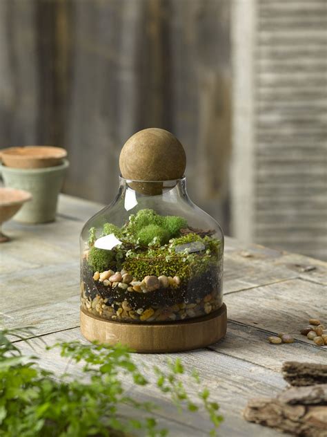 Terrarium Wood And Glass