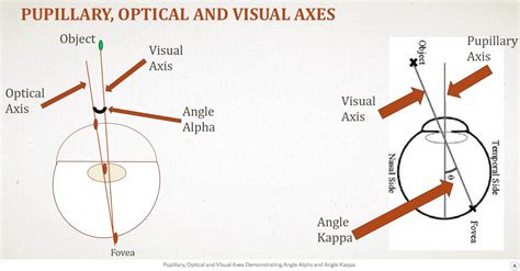 VISUAL ANGLE OF EYE | Visual, Knowledge, Perception