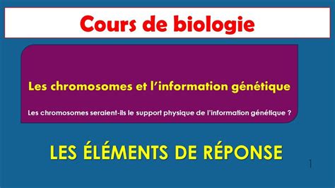 Les Chromosomes Seraient Ils Le Support Physique De Linformation