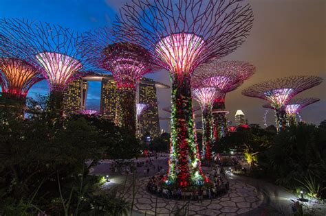 Gardens By The Bay Supertree Grove Opens Till Am Daily Entry Is Free