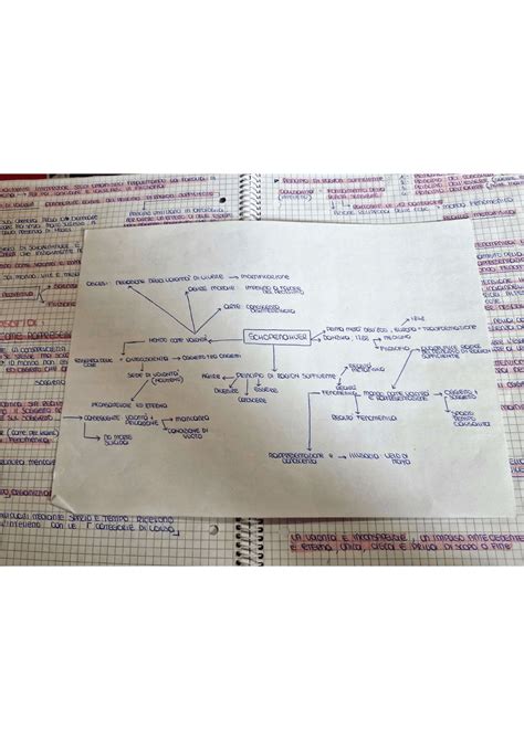 Schopenhauer Mappa Concettuale Riassuntiva Schemi E Mappe