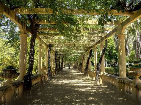 University of Aveiro Student Dressed in Academic Attire in a City ...