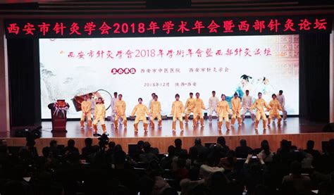 西安市针灸学会2018年学术年会暨西部针灸论坛顺利举办陕西频道凤凰网